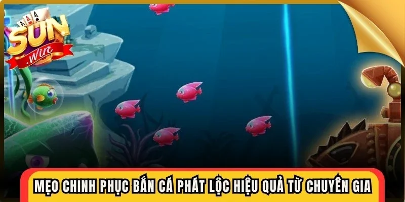 Mẹo chinh phục bắn cá phát lộc hiệu quả đến từ chuyên gia