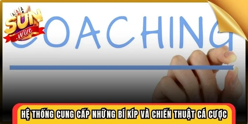 Hệ thống cung cấp những bí kíp và chiến thuật cá cược chi tiết